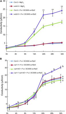 Salicylic Acid: A Double-Edged Sword for Programed Cell Death in Plants